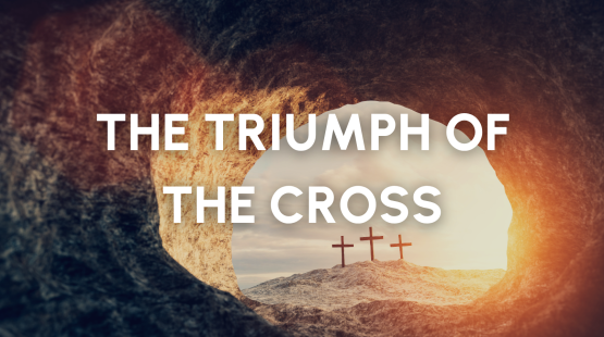 News Stories (8).png