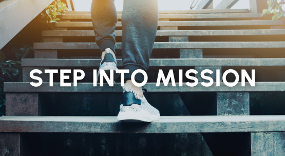 News Stories (3).png