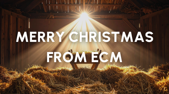 News Stories (11).png