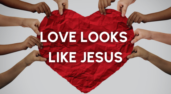 News Stories (7).png